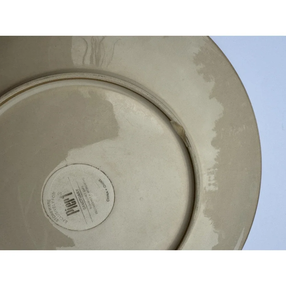 Pier 1 Sanctuary Ceramic Stoneware Dinner Plates Set Of 5 Starburst